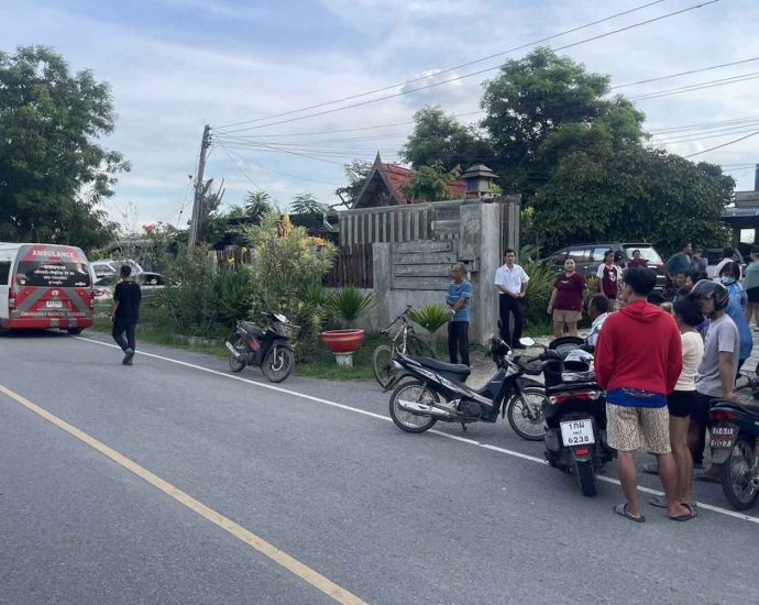 Man killed by brother”s dogs in central Thailand