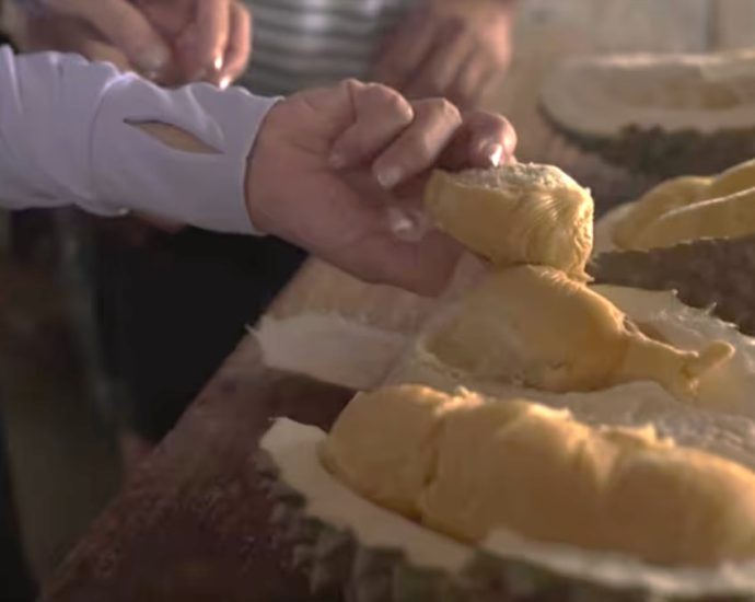 New thorns in town? Here’s why Tupai King, other new durian varieties may be mislabelled