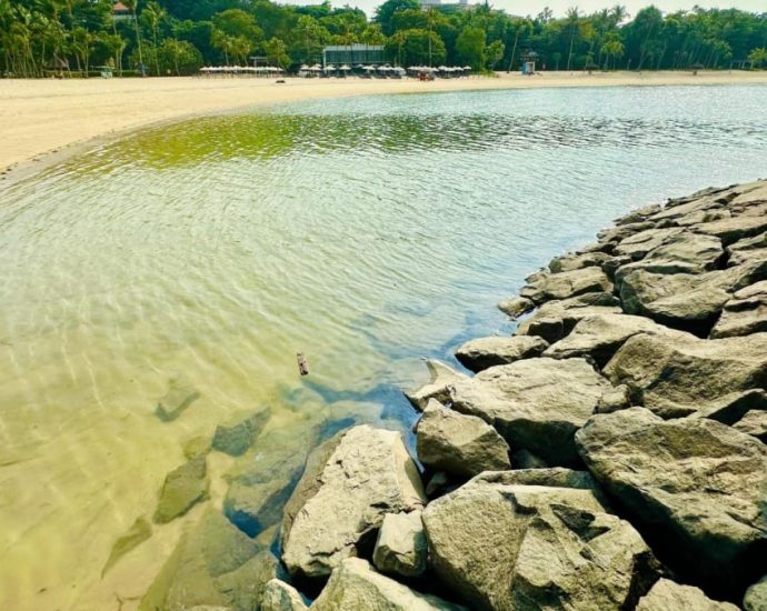Oil spill clean-up completed ahead of schedule, more than 2 months after incident affected Sentosa, other beaches