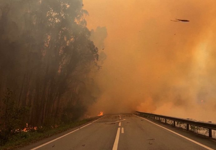 Portugal firefighters stretched to limit in battle with wildfires