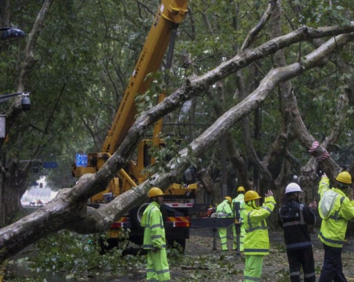 Shanghai cleans up after strongest storm in decades hits Chinese megacity