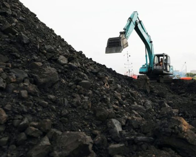 Southeast Asia expected to boost coal trade as China approaches peak