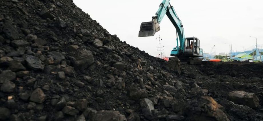 Southeast Asia expected to boost coal trade as China approaches peak