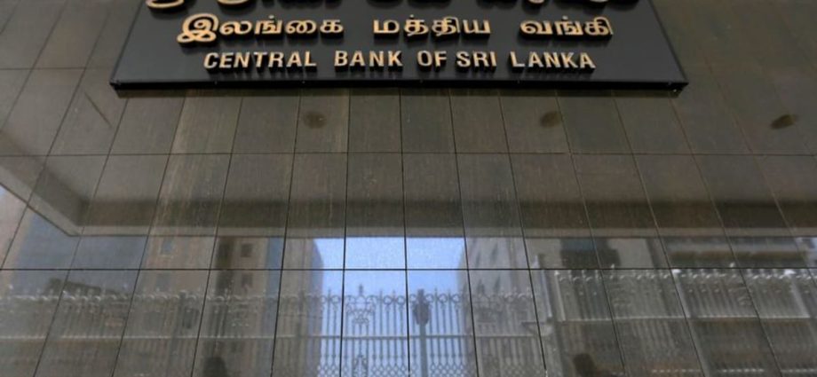 Sri Lanka holds rates steady, sees rosy inflation, growth outlook