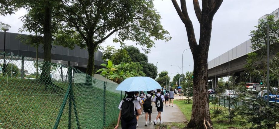 Taking leave, booking taxis: Parents scramble to get children to PSLE amid train disruption