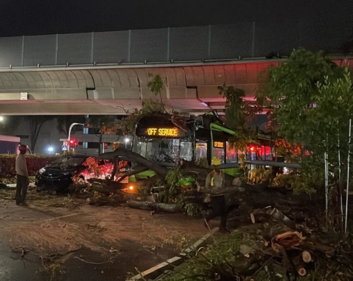Trees felled by strong winds as heavy rain hit Singapore