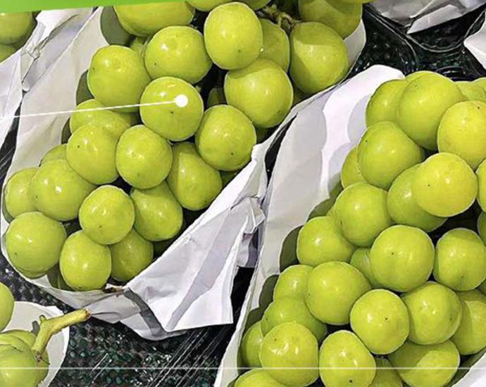 Alarm raised about contaminated grapes