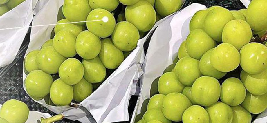 Alarm raised about contaminated grapes