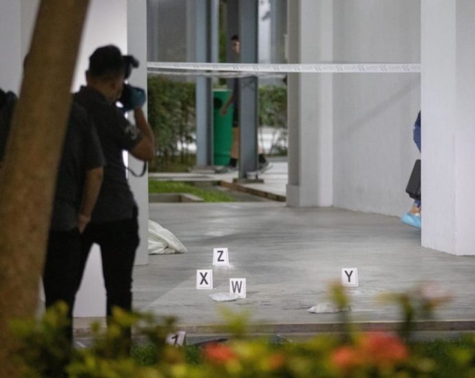 Clementi HDB death: 50-year-old man to be charged with murder