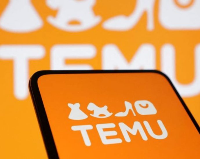 Indonesia bans e-commerce firm Temu over fears its small enterprises could be ‘destroyed’