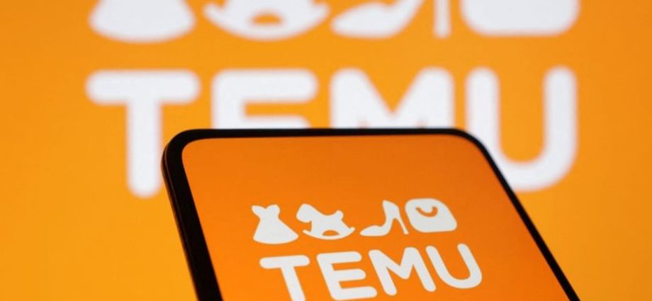 Indonesia bans e-commerce firm Temu over fears its small enterprises could be ‘destroyed’