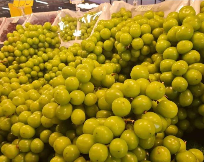 Juice sales plunge amid Shine Muscat grape fears