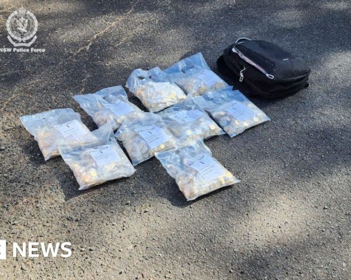 Police recover more than 40,000 stolen Bluey coins