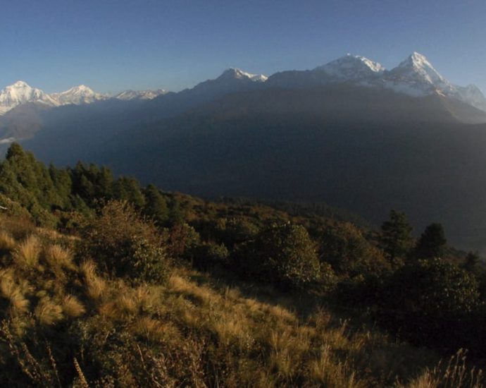 Russian climbers die on Nepal’s Dhaulagiri peak, hiking company says