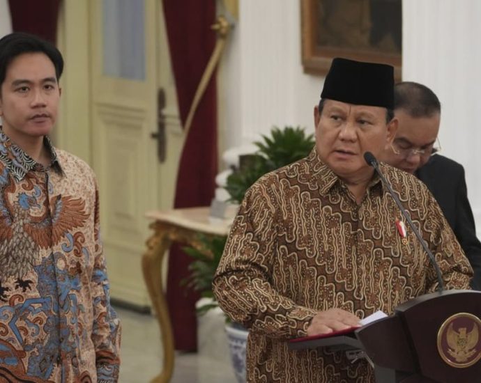 ‘Similar to Temasek’: Indonesia president Prabowo’s new investment body could rival developed nations’, say officials