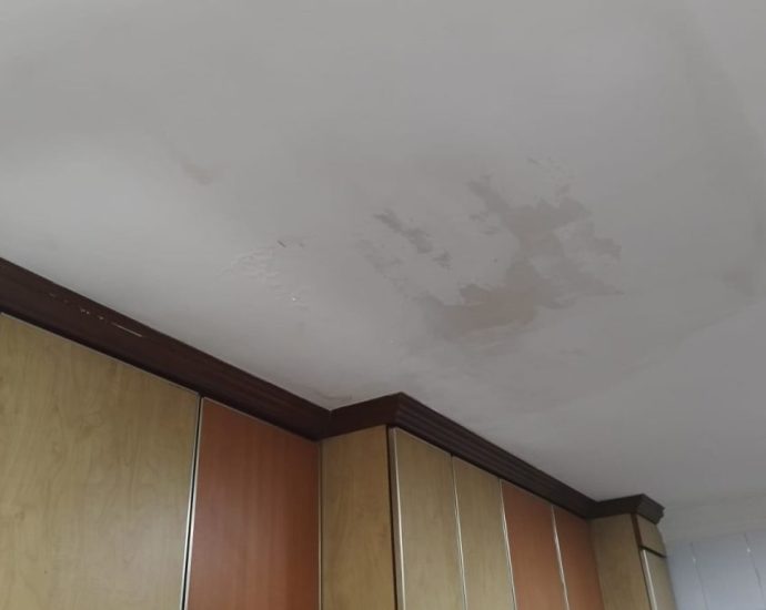 Tampines residents complain of ceiling leaks, mould; HDB says solar panel installation not the cause