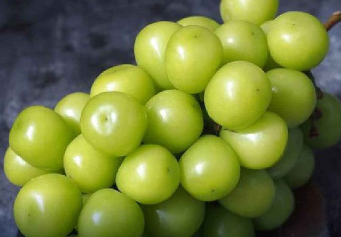 Thai FDA urged to act on contaminated grapes