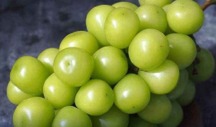 Thai FDA urged to act on contaminated grapes