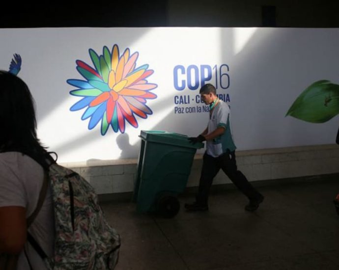 World lags on 2030 nature goals headed into UN COP16 talks