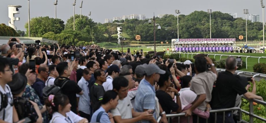 2-part documentary on Singapore Turf Club to air on CNA on Nov 22 and 29