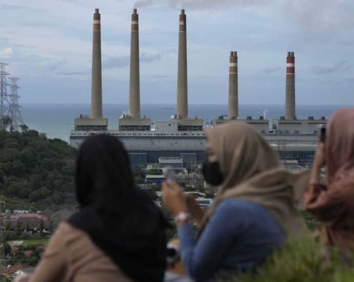 Are Prabowo’s climate goals for Indonesia overambitious?