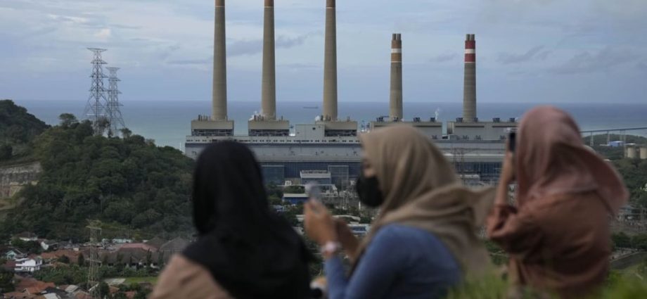 Are Prabowo’s climate goals for Indonesia overambitious?