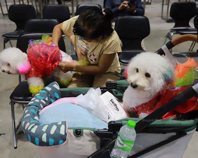 Bangkok’s City Hall to enact new pet policy