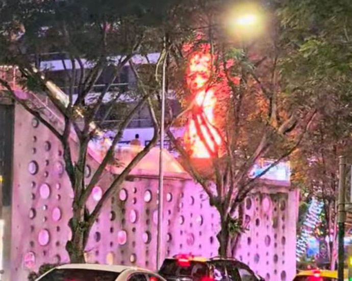 Christmas tree on Design Orchard mall rooftop catches fire