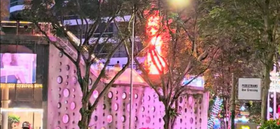 Christmas tree on Design Orchard mall rooftop catches fire