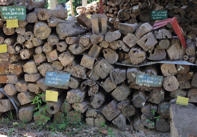 Forest policeman arrested for rosewood theft