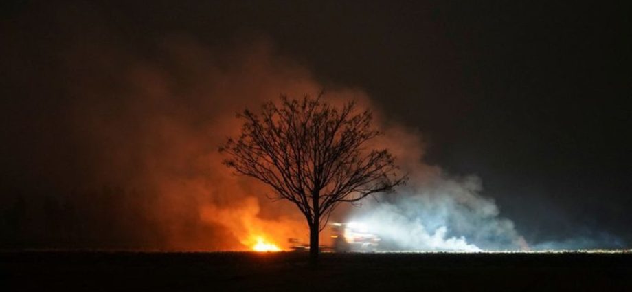 India aims to stamp out farm fires with satellite images of scorched earth