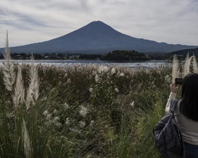 Japan eyes Chinese tram for Mount Fuji