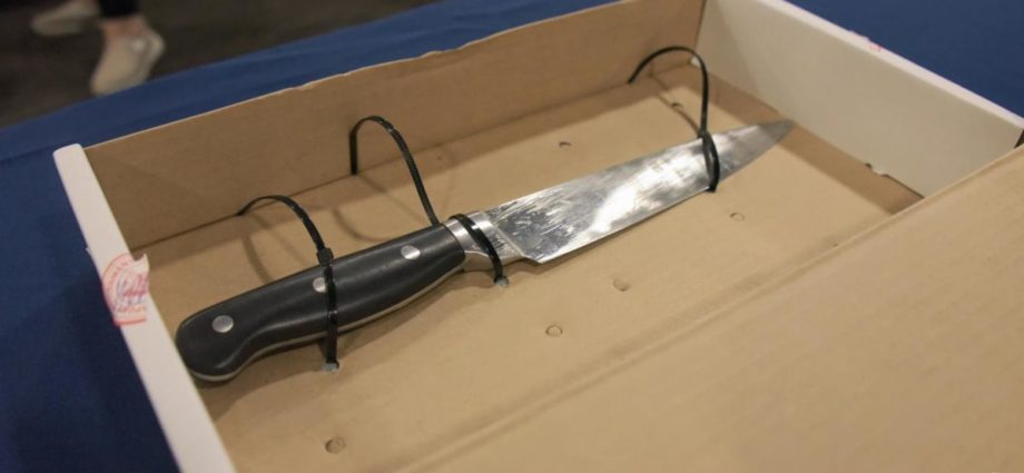 Police officer who shot knife-wielding man in Bendemeer was not errant in use of firearm: Coroner