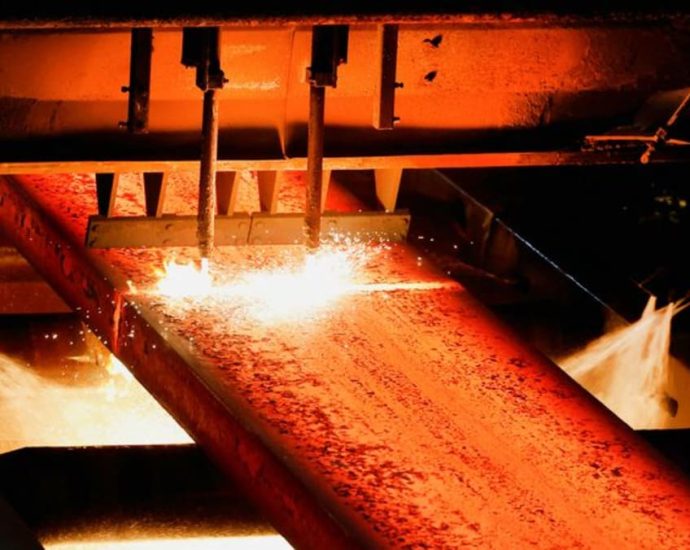 Prolonged Chinese imports may hit Indian steel industry’s investments, Tata Steel CEO says