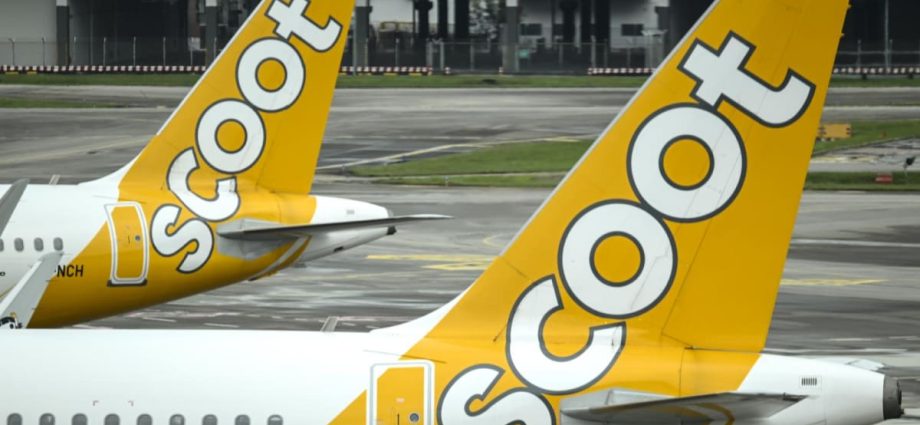 Scoot will soon fly direct to Phu Quoc, Padang and Shantou