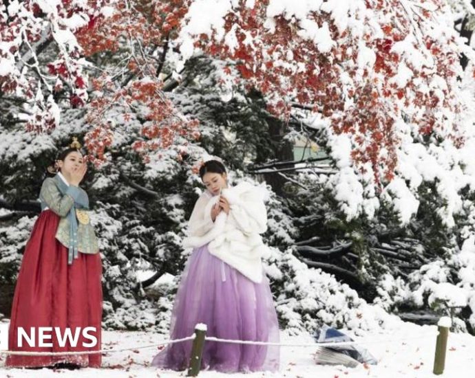 Seoul blanketed by heaviest November snow on record