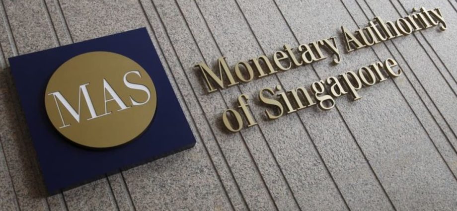 Singapore households should remain prudent amid global risks: MAS