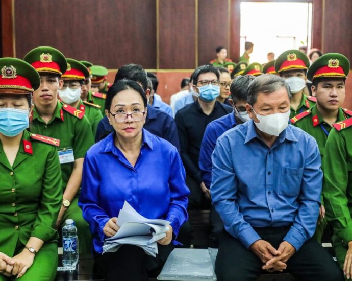 Vietnam death row tycoon begs court for her life