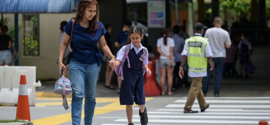 Commentary: What does it mean that more non-Chinese Malaysians are learning Mandarin?