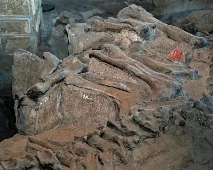 Dinosaur diplomacy: What you need to know about China’s ‘renewed emphasis’ on fossil research