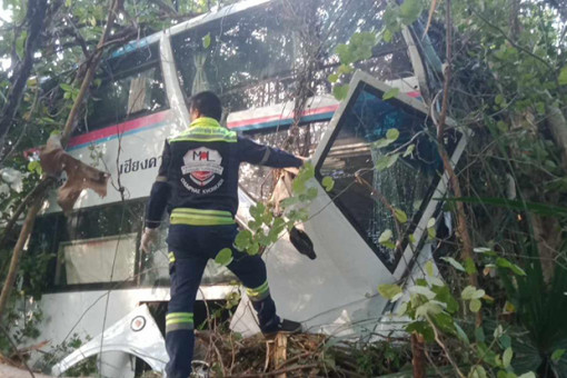 Driver killed, at least 8 injured as bus crashes into trees