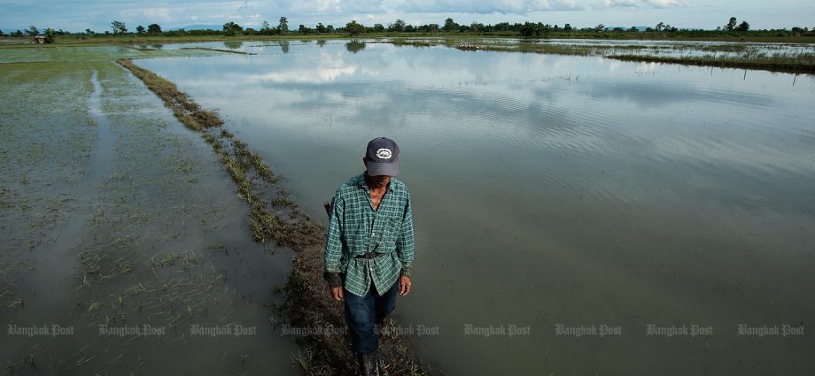 Drones to help ageing farmers