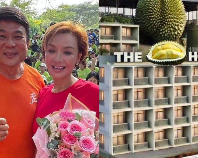 Former Hong Kong actress Amy Yip to open a ‘durian hotel’ in Penang with Jack Neo as creative director