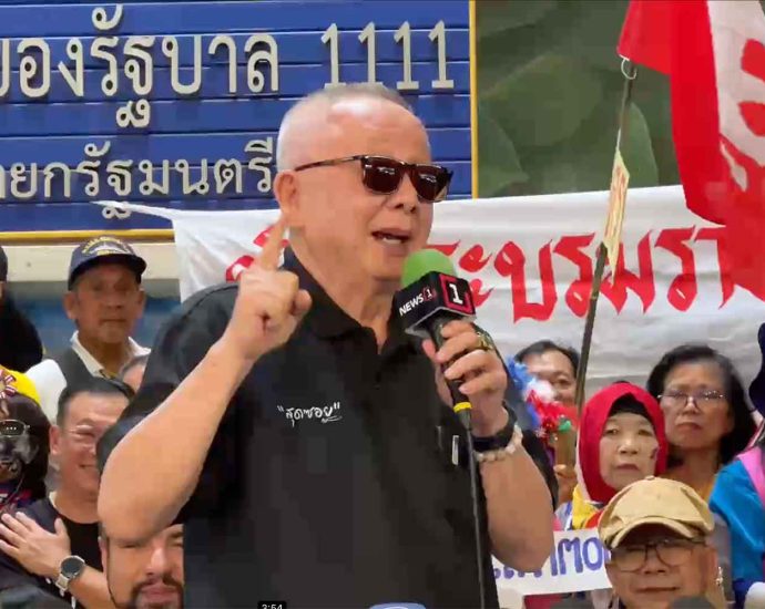 Former protest leaders plan new rallies against govt