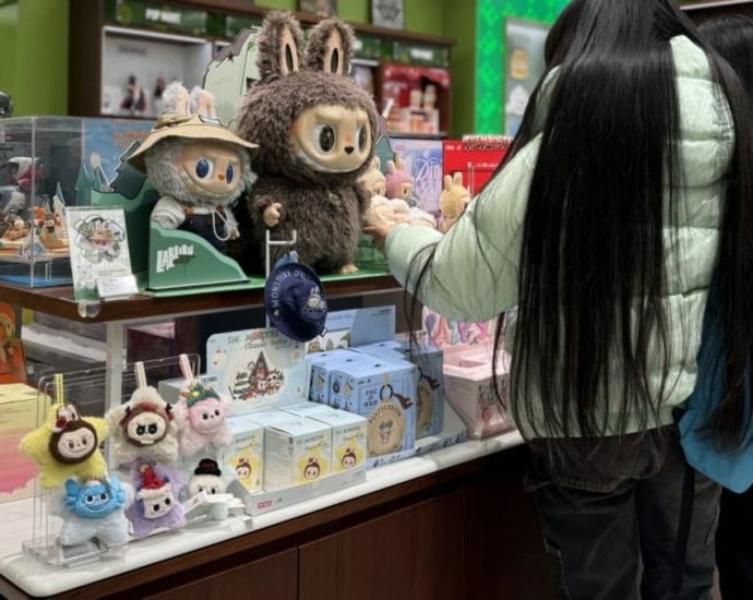 How ‘made in China’ became trendy, thanks to Labubu toy’s Asia-wide success