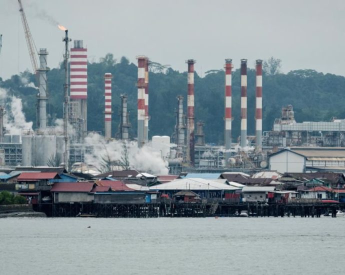 Indonesia plans oil storage facility near Singapore to improve energy self-sufficiency: Minister