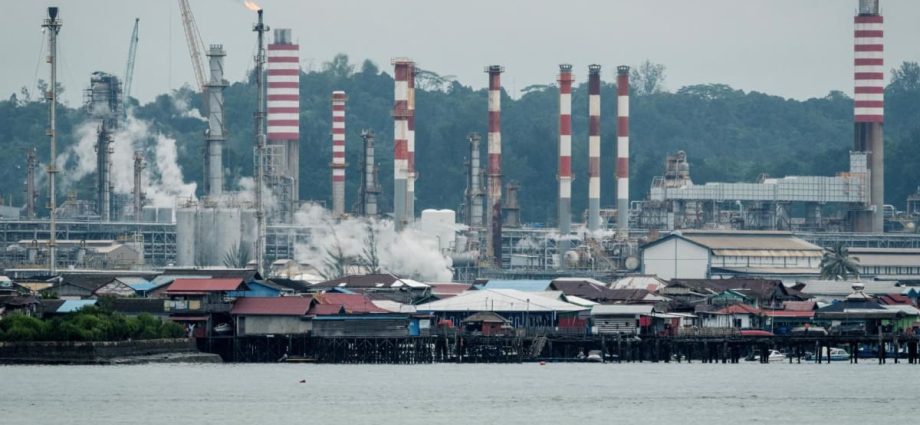 Indonesia plans oil storage facility near Singapore to improve energy self-sufficiency: Minister