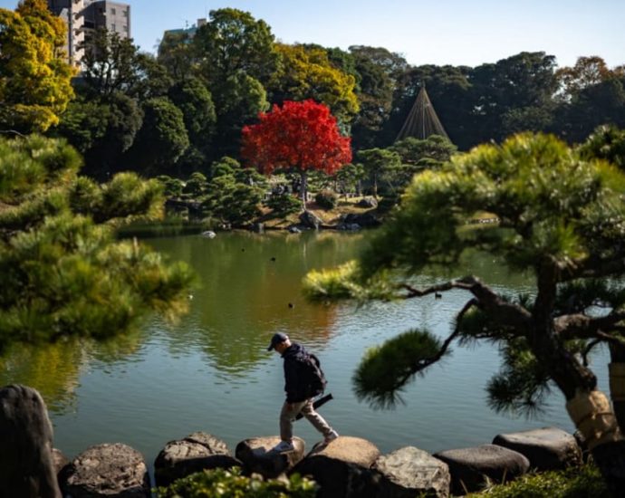 Japan witnesses warmest autumn on record