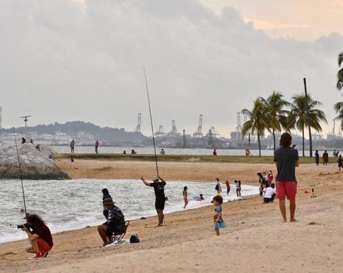 Low-lying Singapore explores innovations to future-proof coastlines from rising sea levels