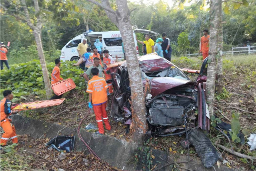 New Year holiday road accidents have claimed 175 lives